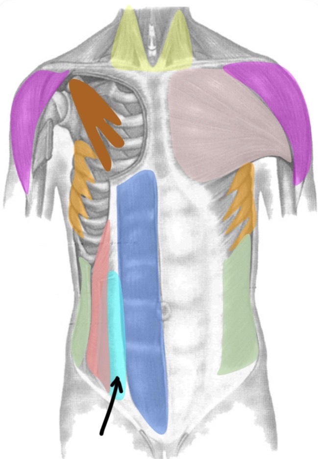 term image