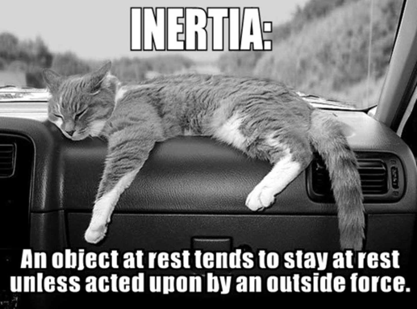 <p>unless acted upon by a force, objects in motion tend to stay in motion, and objects at rest remain at rest</p>