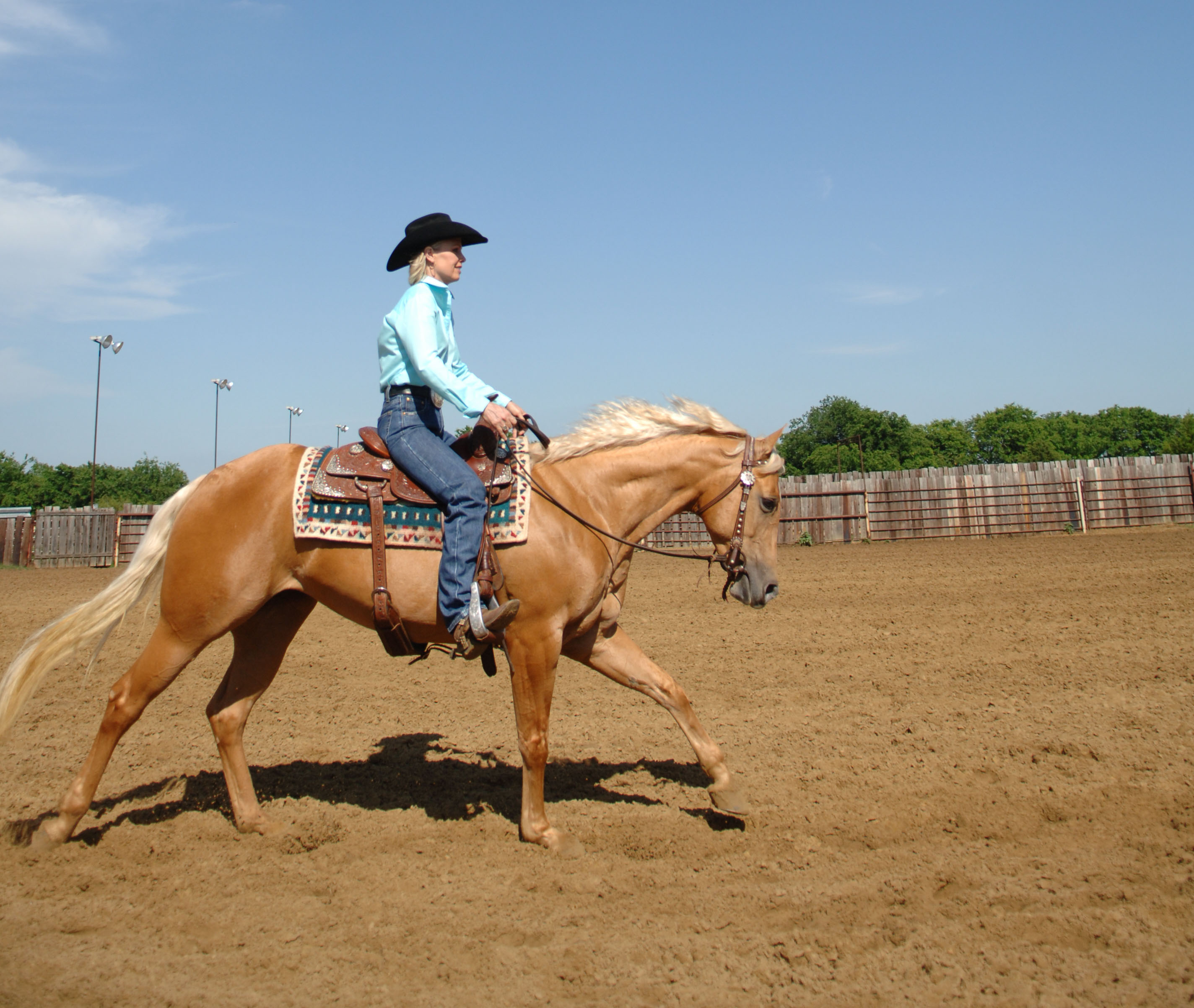 <p>To sit on a horse's back. </p>