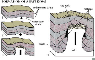 <ul><li><p>A structure where ductile, buoyant material (like halite) pushes up through overlying sediments.</p></li><li><p>Forms salt domes.</p></li><li><p>Can act as non-porous traps for oil.</p></li></ul><p></p>