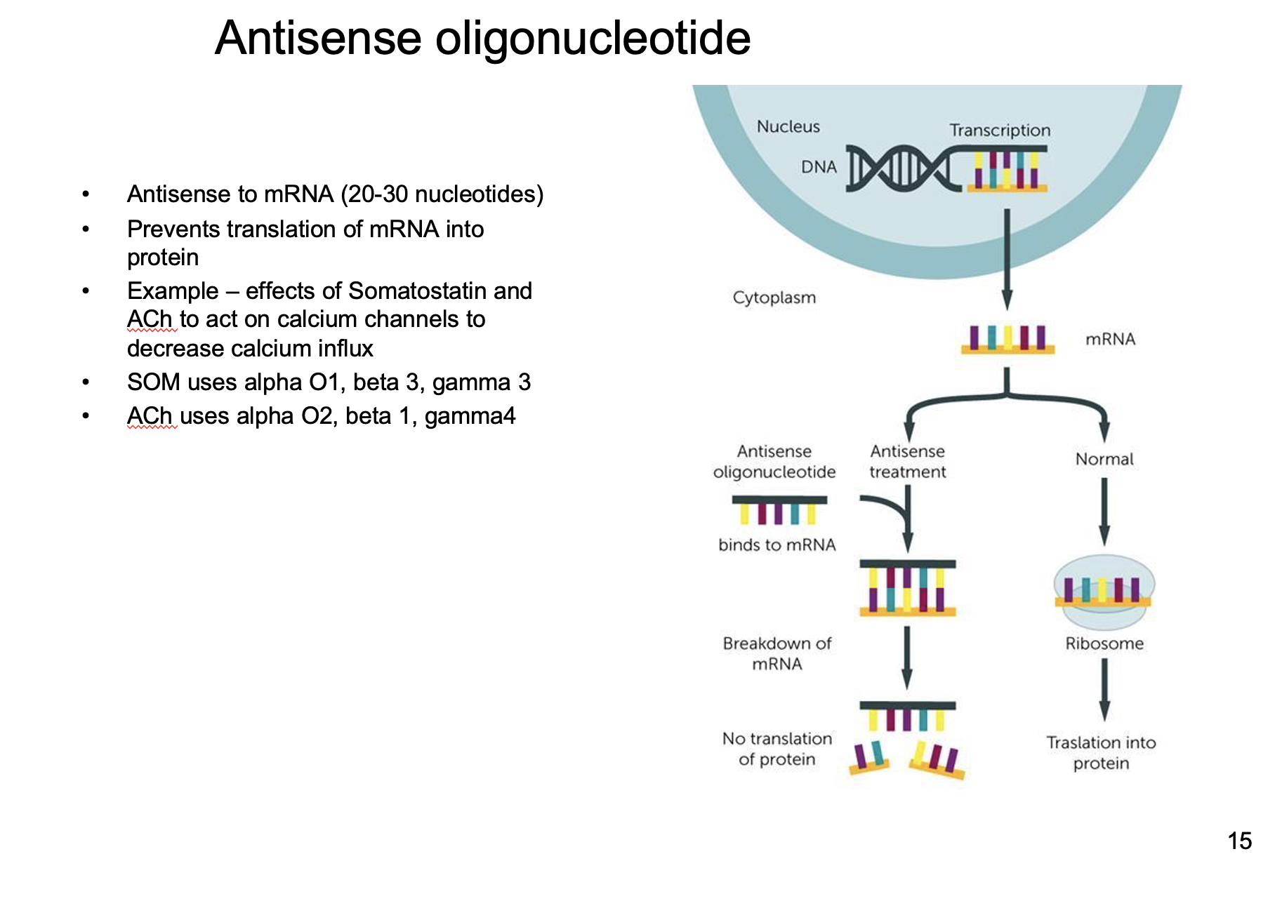 Prevents translation of mRNA to protein

(Which G-Protein is related to which receptor)