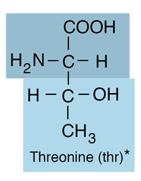 <p>Polar, uncharged; Thr [T]</p>