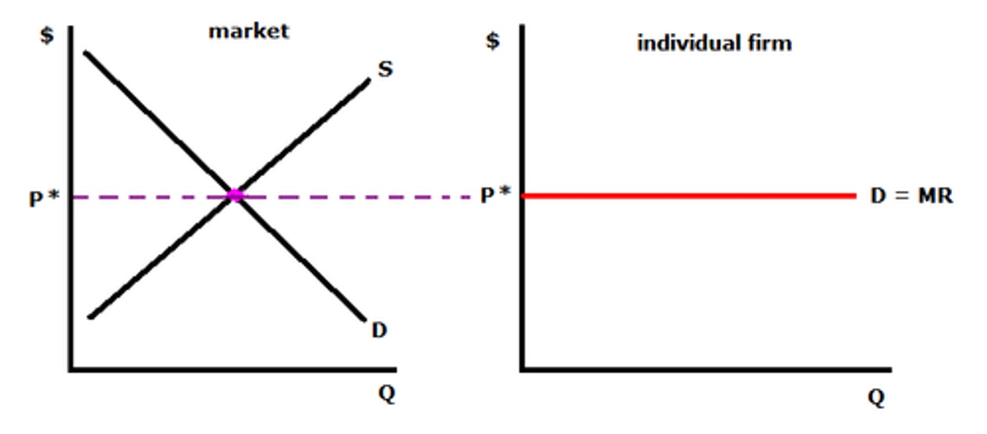 <p>- Equals to MR</p><p>- Horizontal because there are lots of substitutes</p><p>- Perfectly Elastic</p>