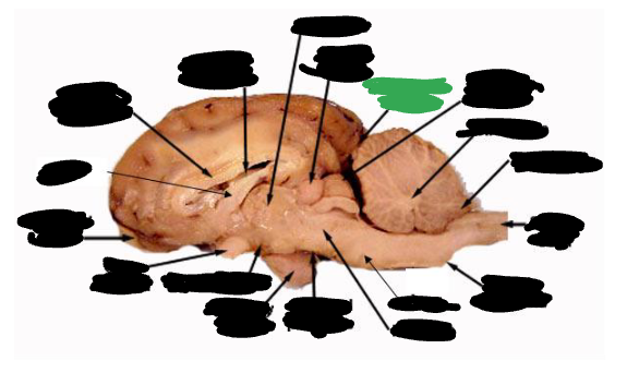 <p></p>