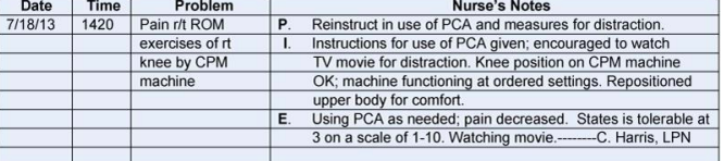 <p>P: problem identification</p><p>I: interventions</p><p>E: evaluation </p><ul><li><p>follows the nursing process and uses nursing diagnoses while placing the plan of care within the nurses’ progress notes</p></li></ul><p></p>