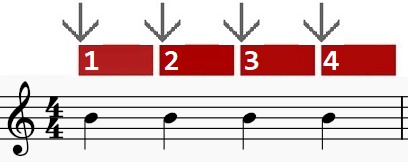 <p><span style="font-family: Aptos, sans-serif">the starting beat of a measure, given more weight as it is more important</span></p>