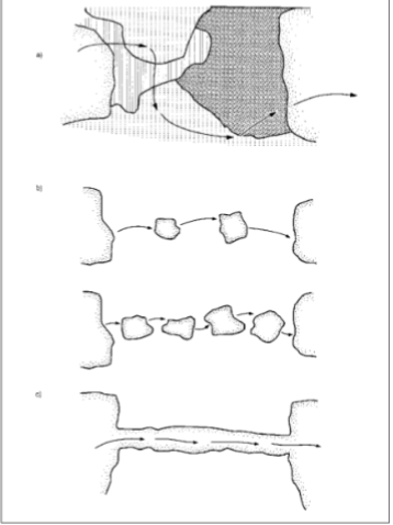 <p>any space identifiable by species using it that<br>facilitates the movement of animals or plants over time<br>between patches of disjunct habitat</p>