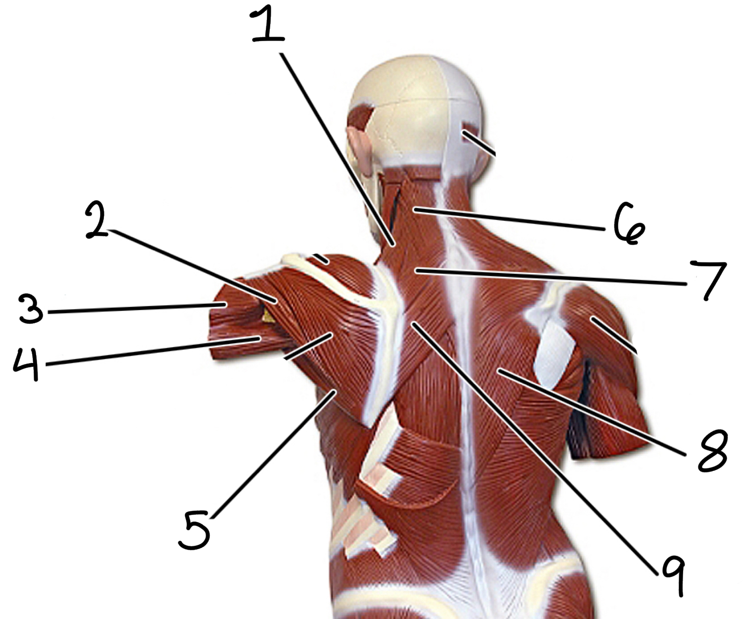 <p>1</p>