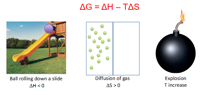 <p>Delta G examples</p>