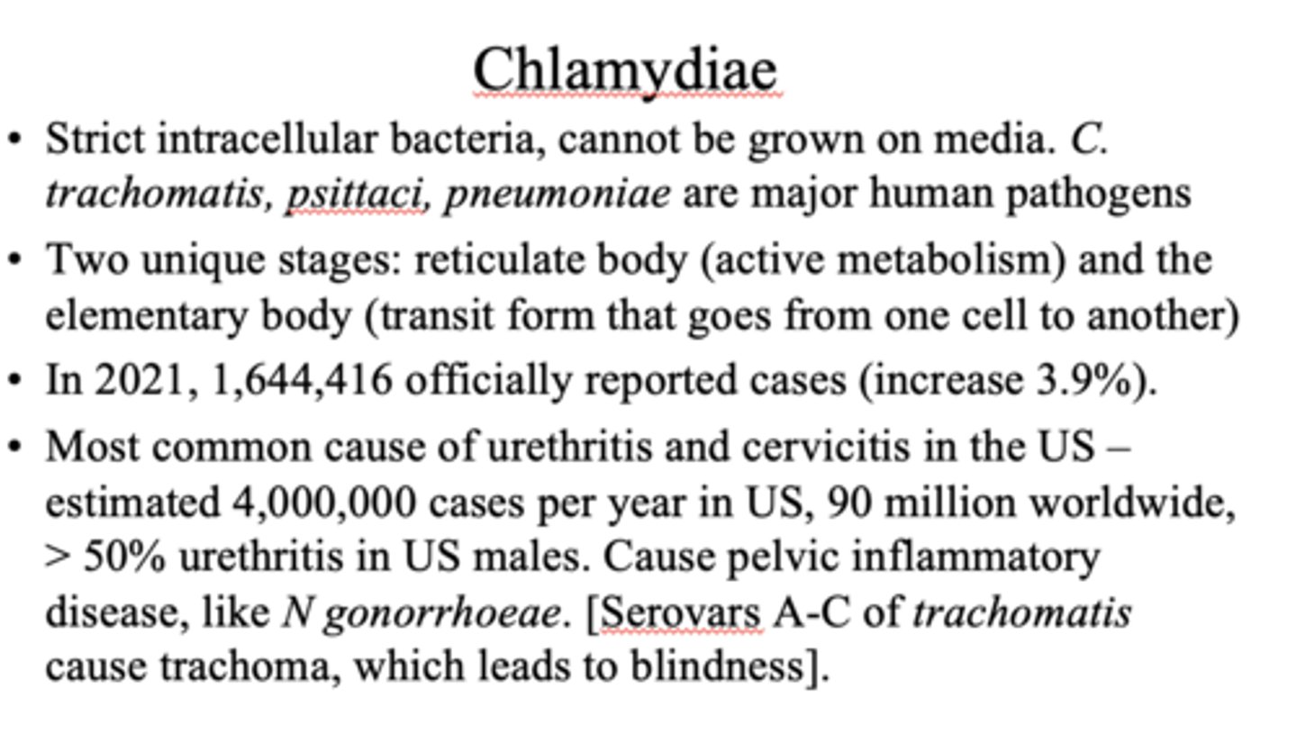 <p>transit form that goes from one cell to another</p>