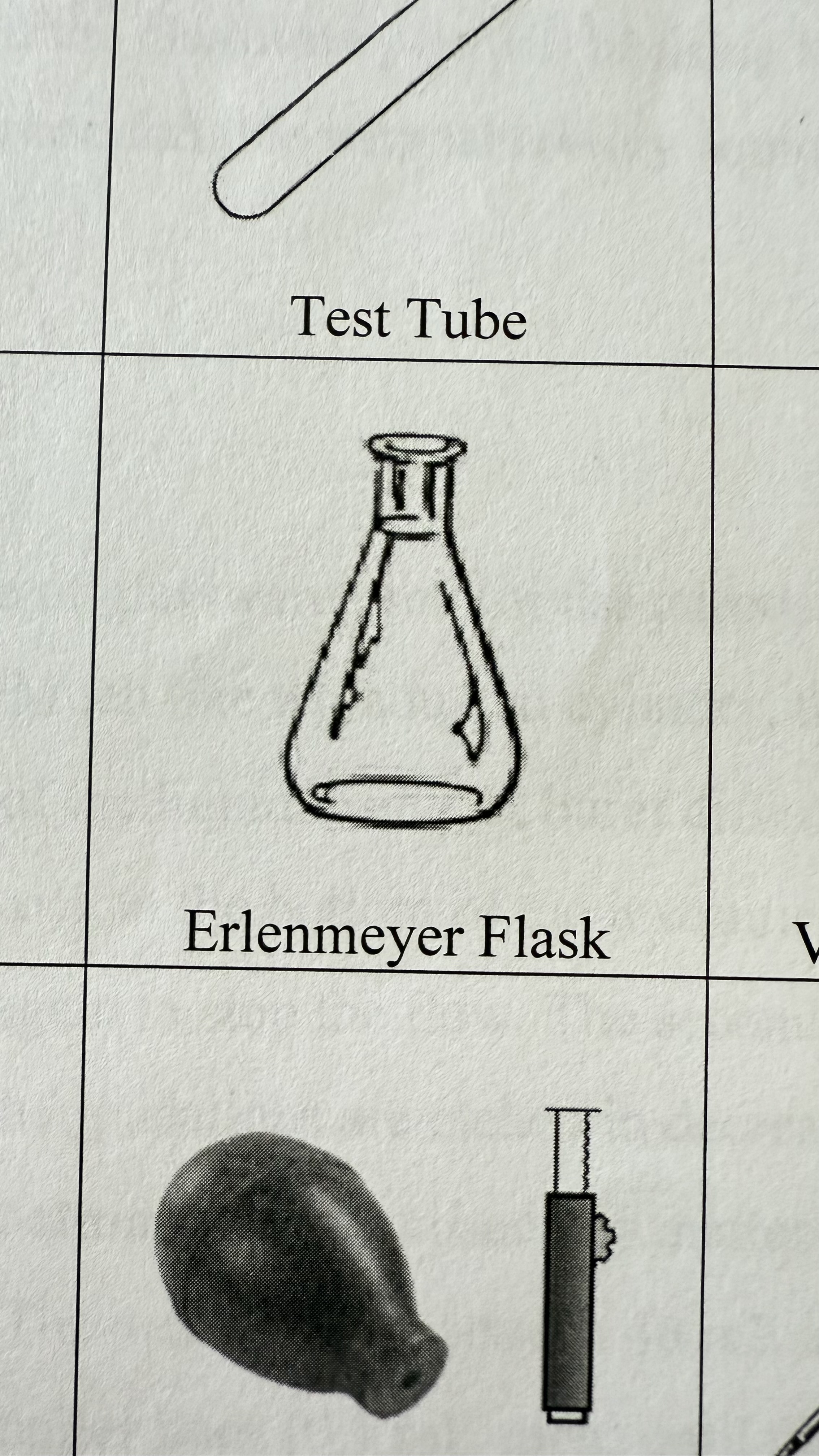 <p>Erlenmeyer Flask</p>