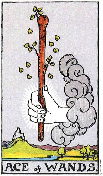 <p>Ace of Wands </p>