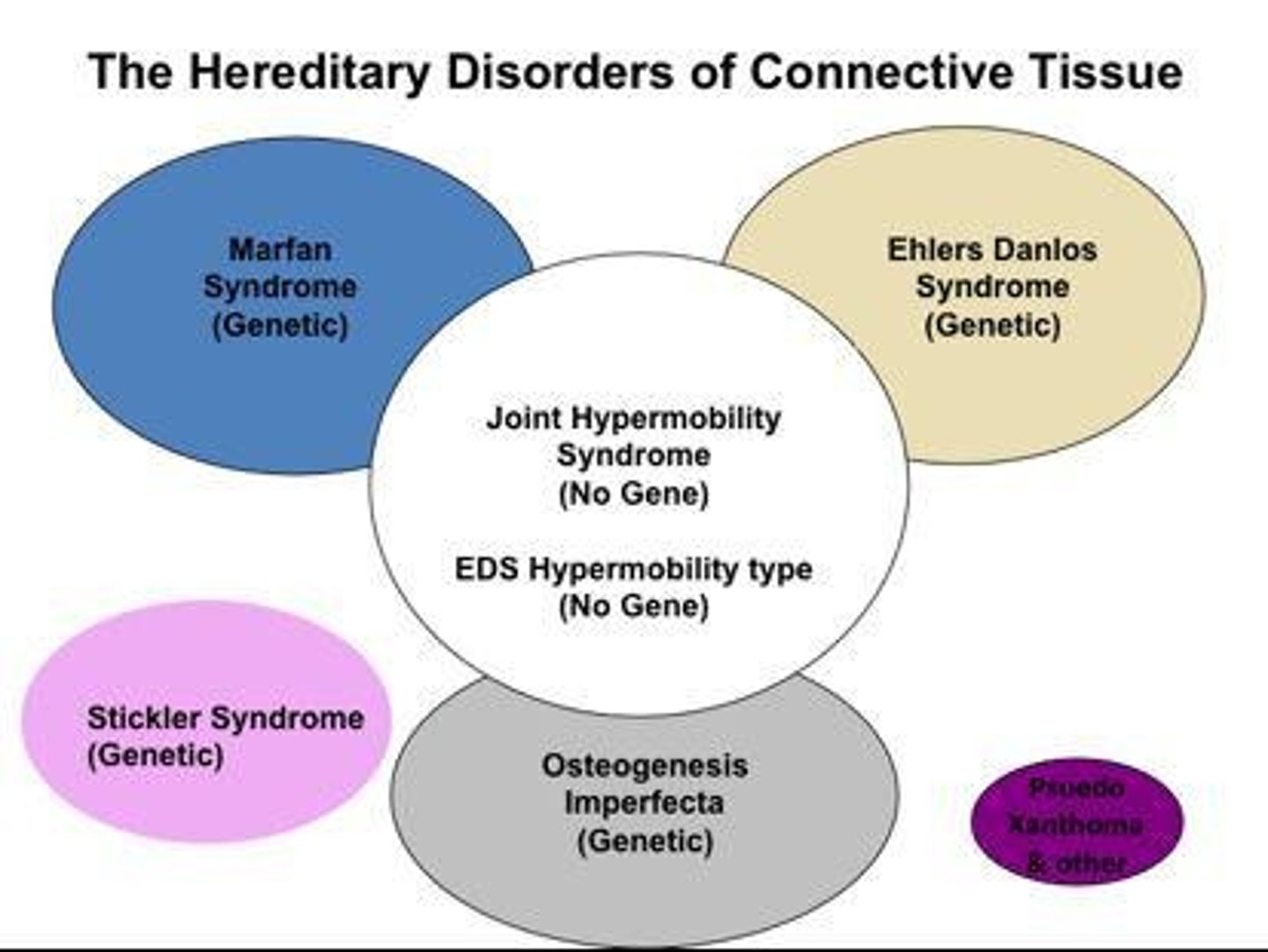 <p>A group of disorders involving protein-rich tissue that supports organs and other body parts.</p>