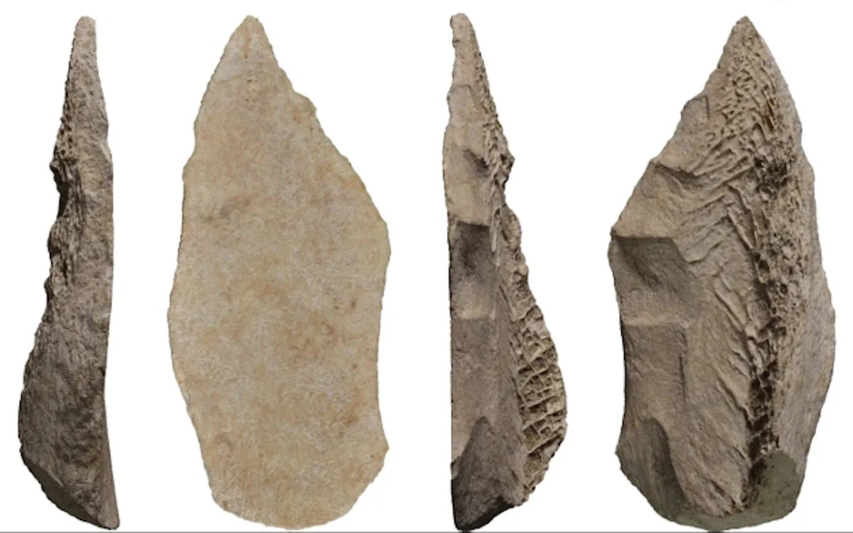 term image