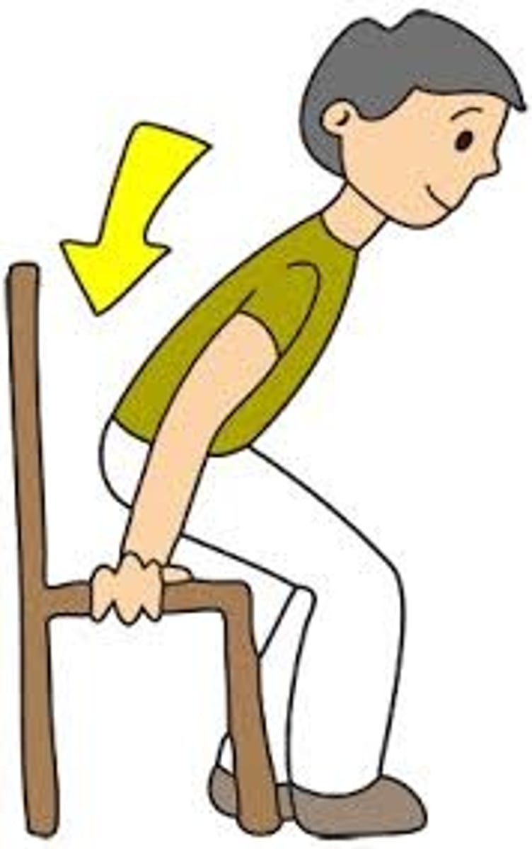 <p>Sit down.</p>