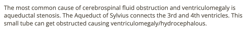 <p>c) aqueductal stenosis </p>