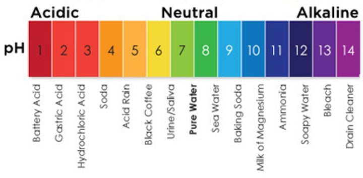 <p>Measure of acidity or alkalinity on a scale from 0-14</p>