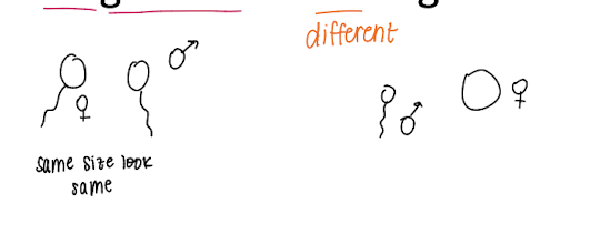 <ul><li><p>iso = same, gamous = gamete</p></li><li><p>ani = different gamous</p></li></ul><p></p>