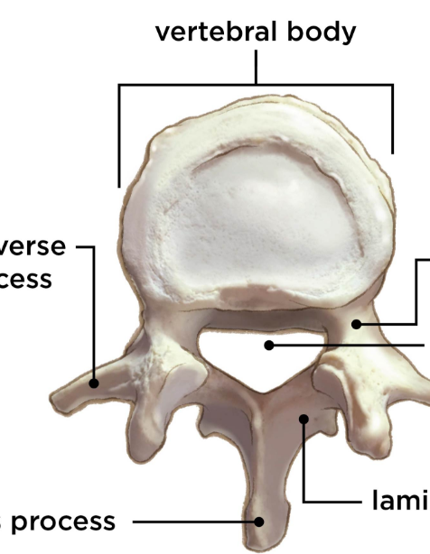 <p>What’s the middle hole?</p>