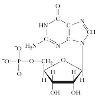 <p>Name that structure.</p>