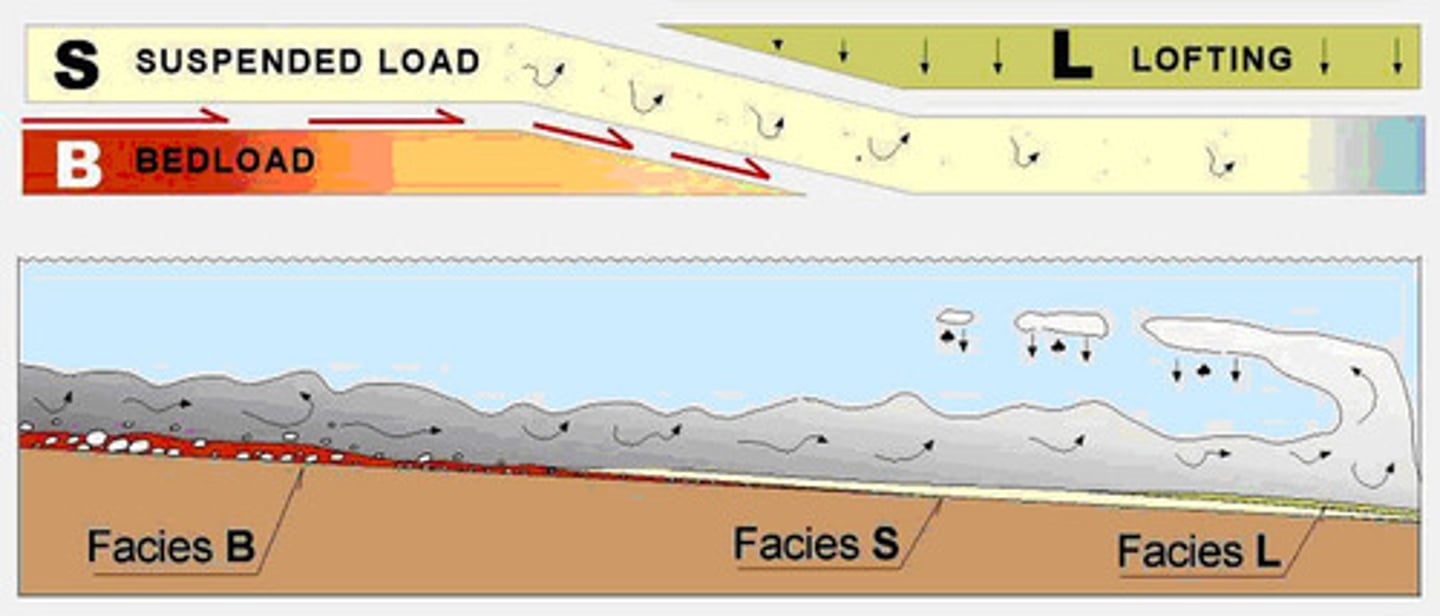 <p>a load of coarse sediment, mostly coarse silt and sand, that moves along a riverbed (bottom) due to the flowing of water, in contrast to being carried in suspension</p>