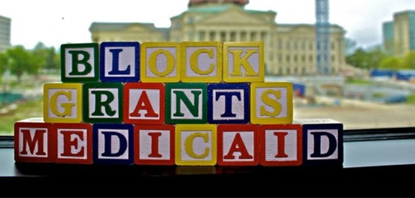 <p>Federal money given to the states with few restrictions about how it should be spent.</p>