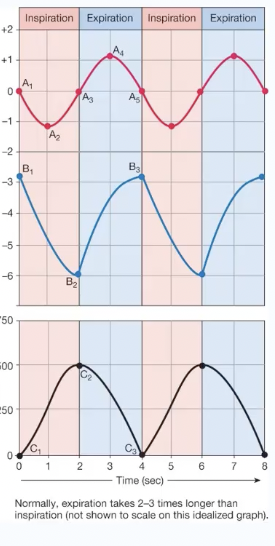 <p>explain what is occuring in this image</p>