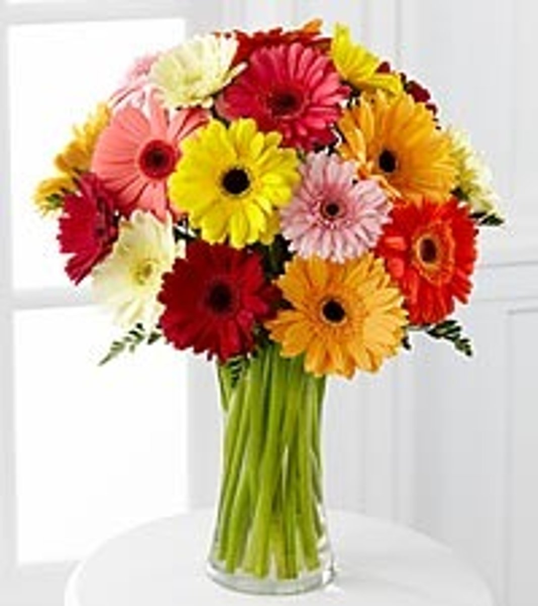 <p>Avoid infection exposure, no fresh flowers, good hygiene</p>