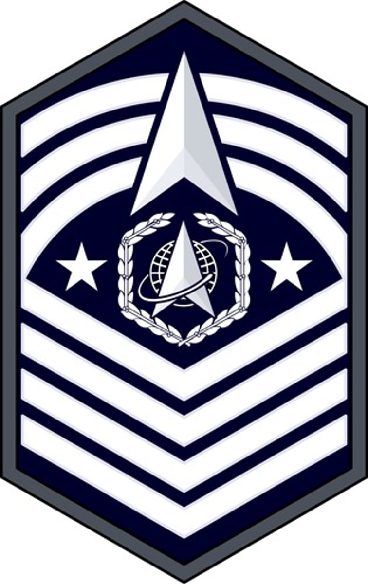 <p>Chief Master Sergeant, Chief Master Sergeant of the Space Force, Senior Enlisted Advisor to the Chairman</p>