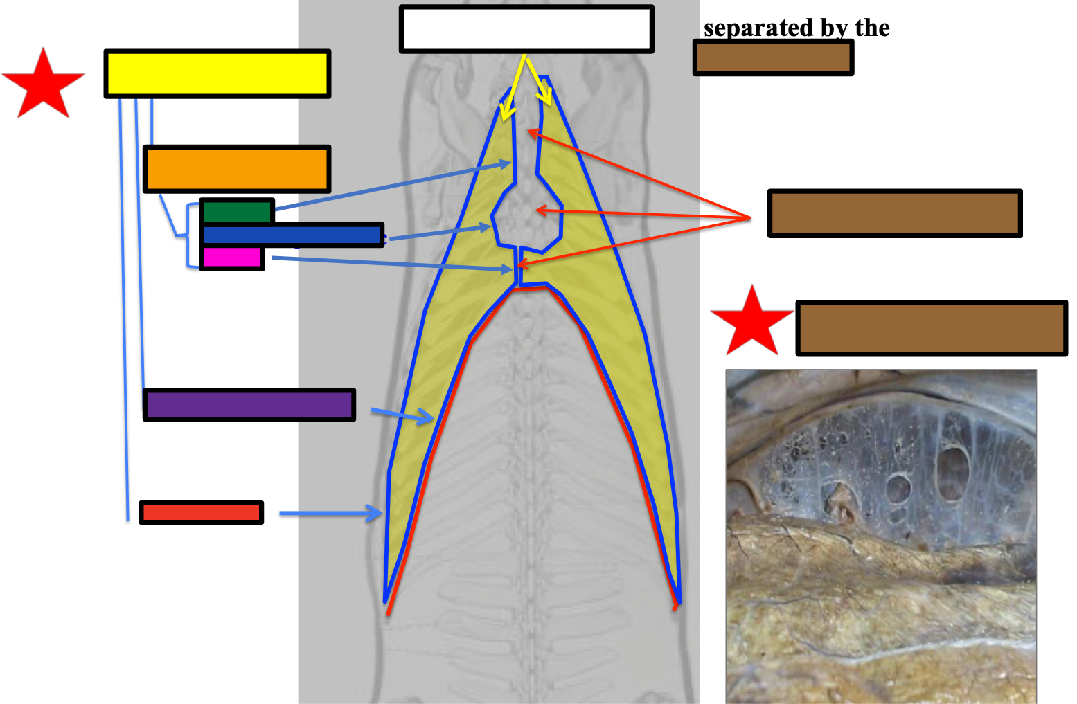 <p>What does the yellow box refer to?</p>