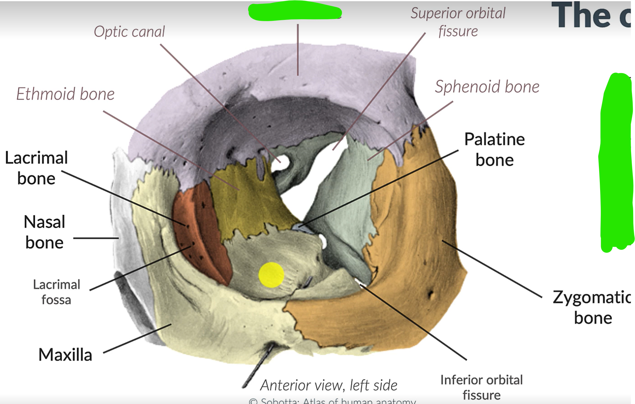 term image