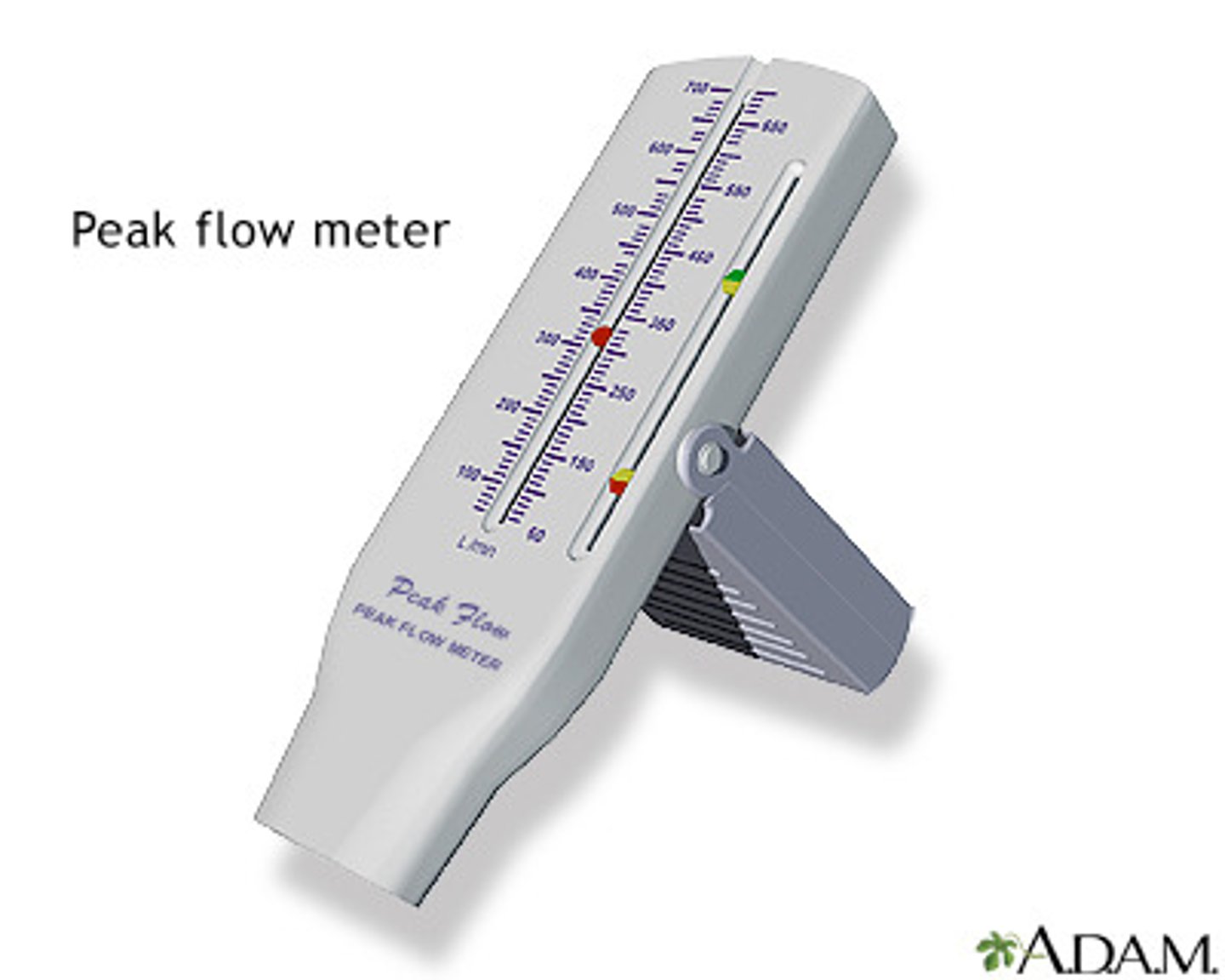 <p>• Point of highest flow during forced expiration</p><p>• Asthma - measure severity of disease</p><p>• Repeat forced expiration 3x</p><p>• Asymptomatic personal best as benchmark</p><p>• Asthma action plan</p>