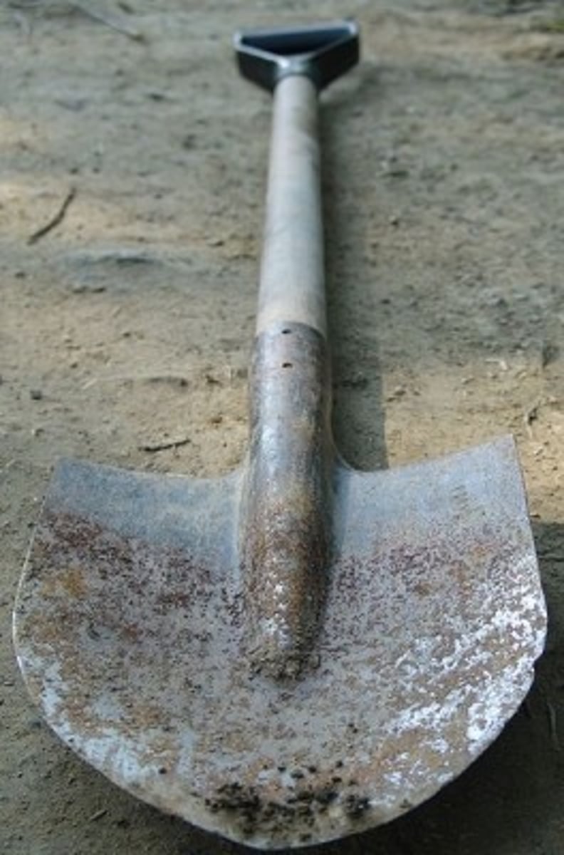<p>diary, shovel, photograph.</p>