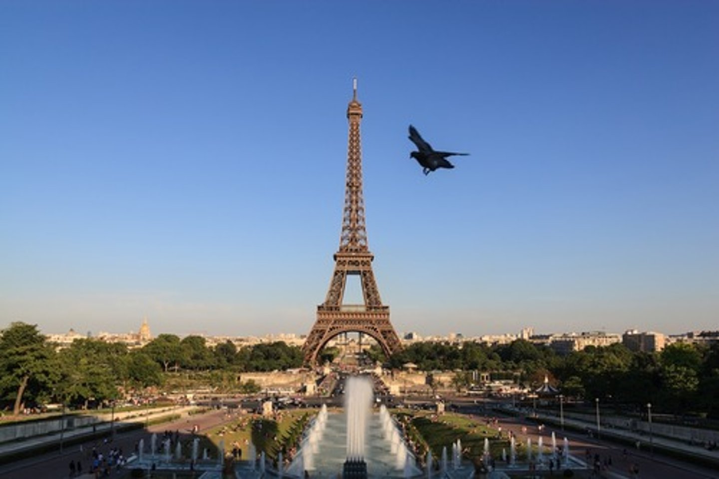 <p>París</p>