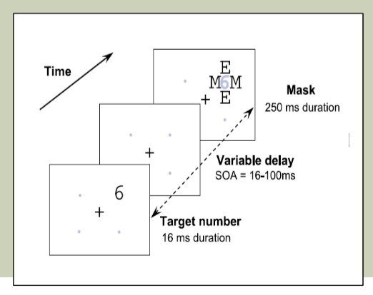 <p>Cijfer, tussenstuk en masker aangeboden. <strong>SOA </strong>is de tijd tussen getal en masker, als deze kort is, ben je je niet bewust van het cijfer.</p>