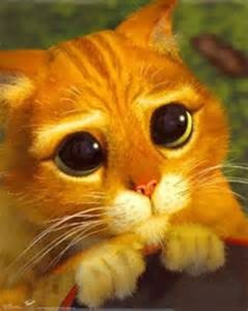 <p>No creo que ___________ (ser) verdad.</p>