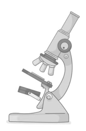 <p>Label this microscope drawing.</p>