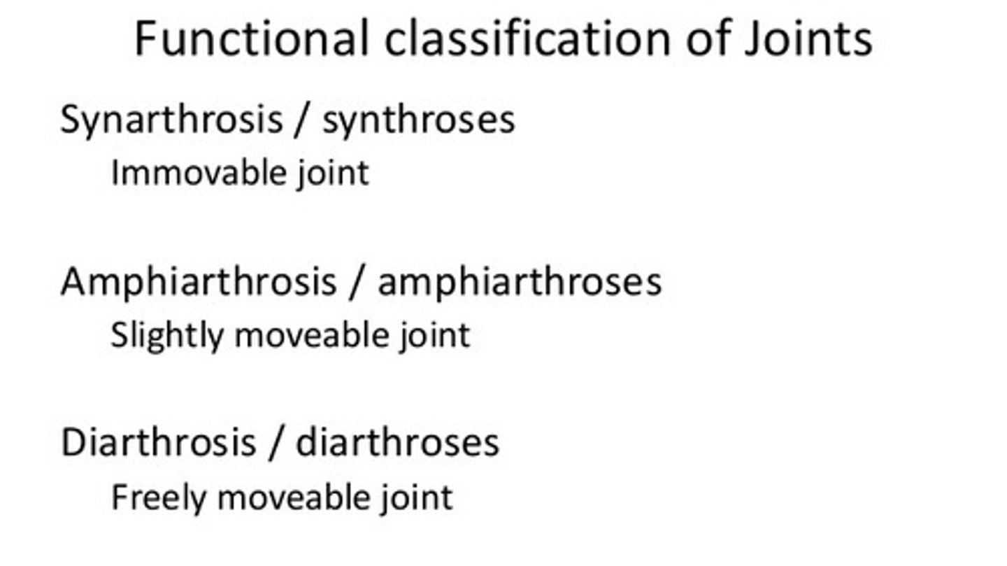 <p>is made on the basis of the amount of movement the joint allows-Range of Motion.</p>