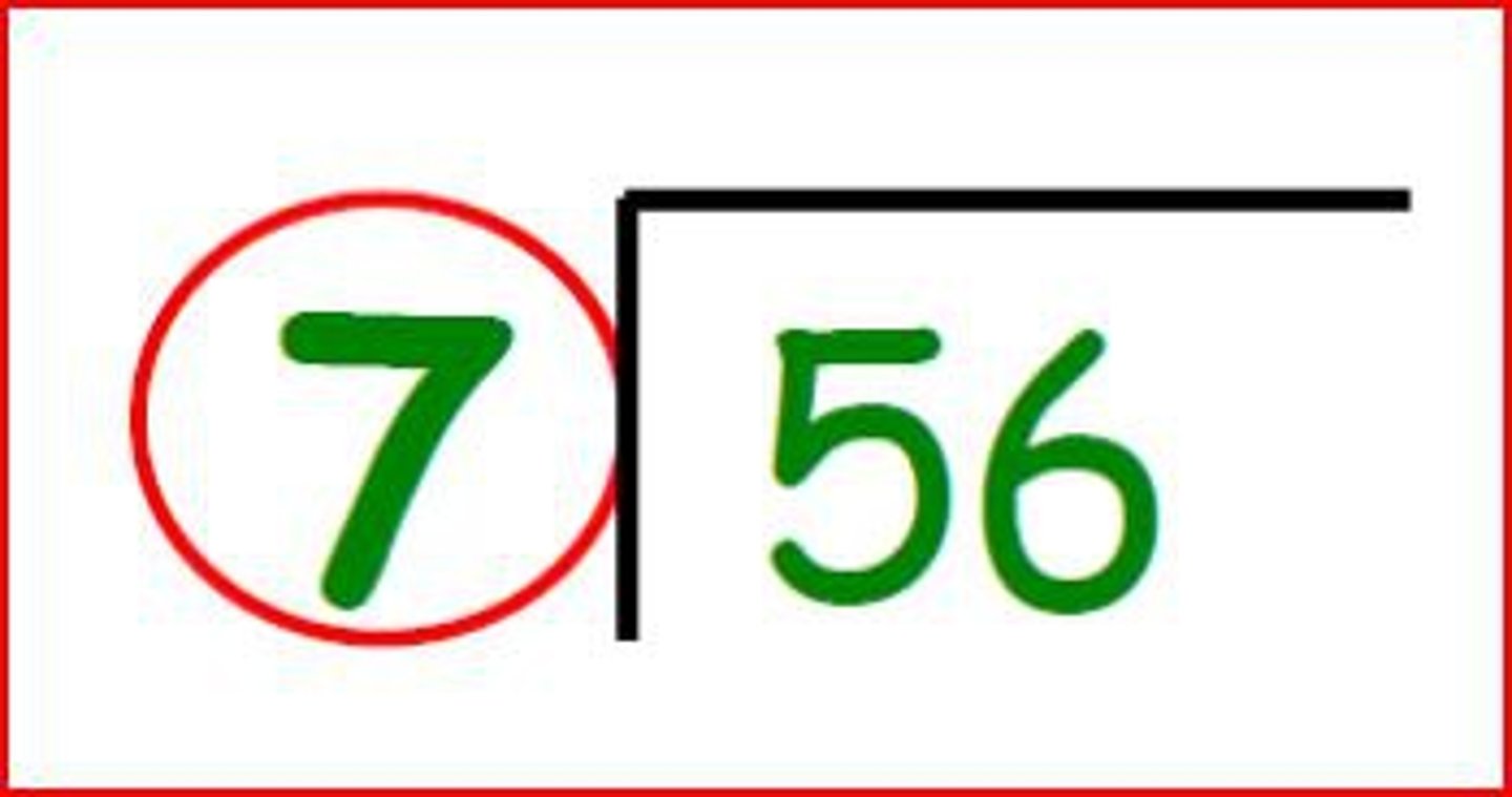 <p>The number by which another number is divided.</p>