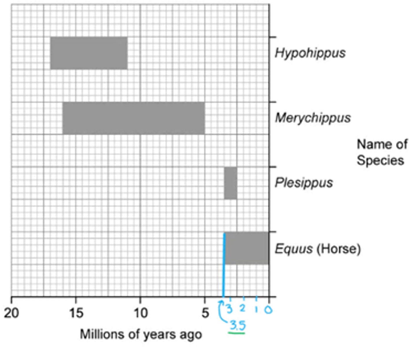 <p>The Equus fist evolved:<br>3.5 million years ago</p>