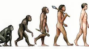 <p><span>Changes in genetic populations that can give rise to new species from a common ancestor. Populations evolve, not individuals.</span></p>