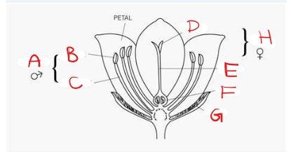 <p>What is B?</p>