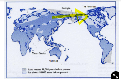 <ul><li><p>tracked mammoths across the <strong>Mammoth Step</strong>→ tundra grassland from Eurasia across to North America</p><p>→ the society hunted and used the mammoths</p></li></ul>