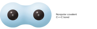 <p>Electrons are shared equally between atoms, symmetrical</p>