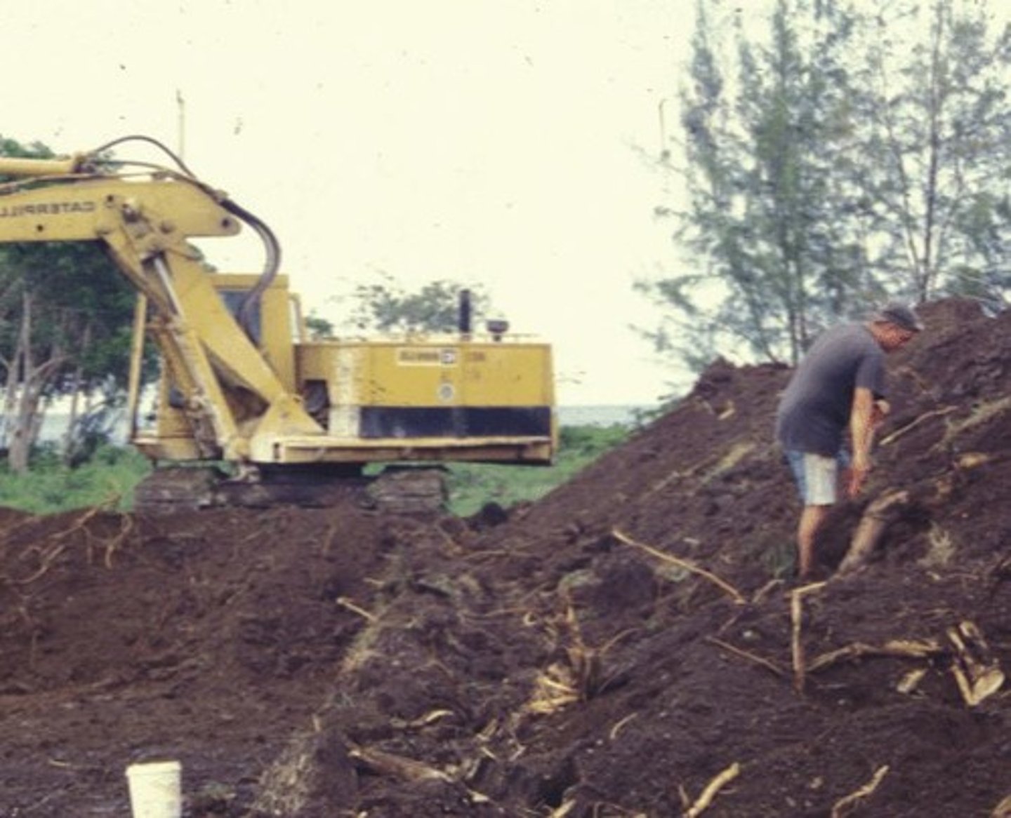 <p>Spoil heaps</p>