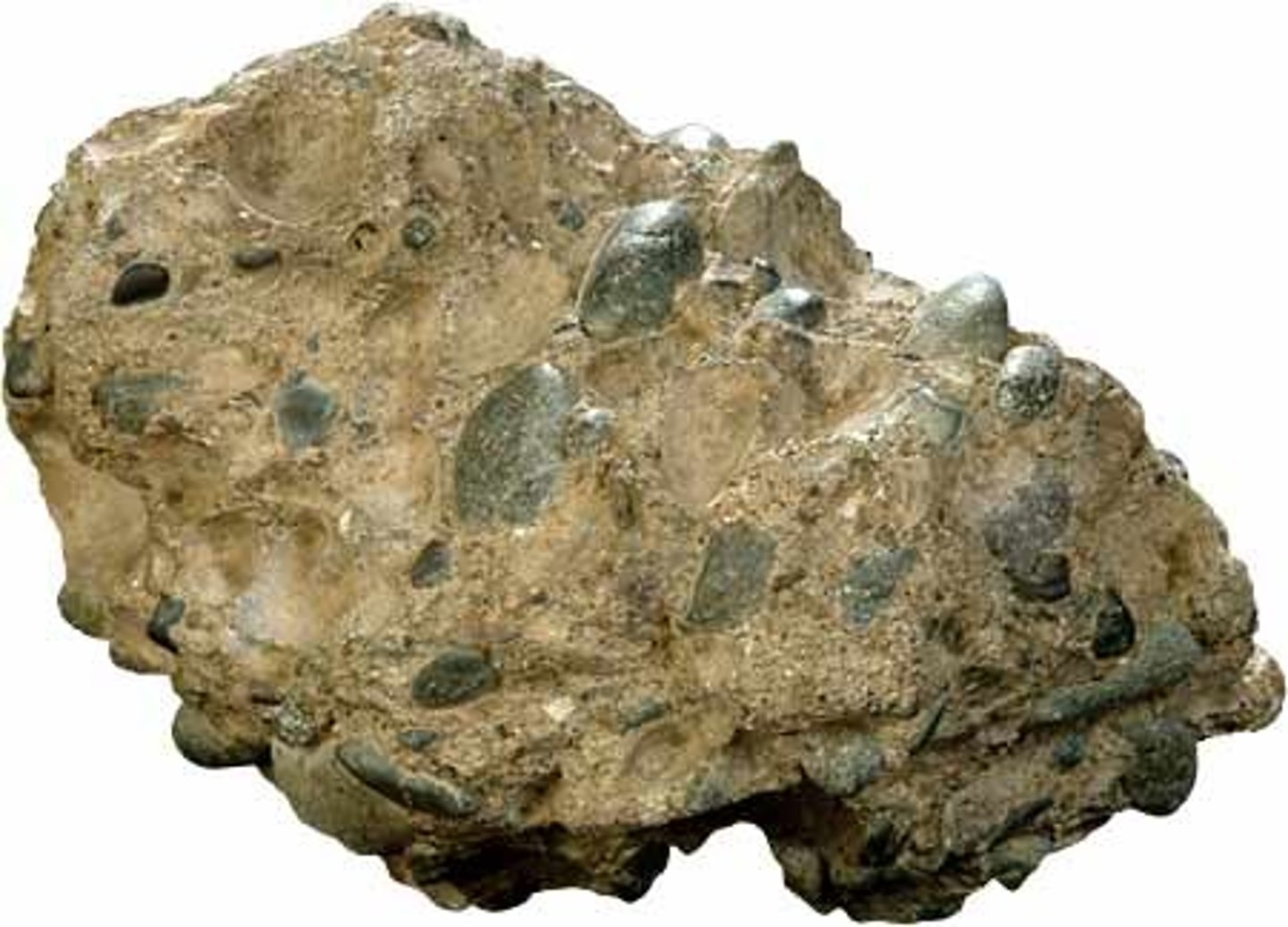 <p>sedimentary rock, >2mm larger than sand-size grains, rounded clasts, composition: rock fragments</p>