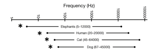 <p>How big the mammal is (e.g. elephants are much bigger, can detect really low frequencies) </p>