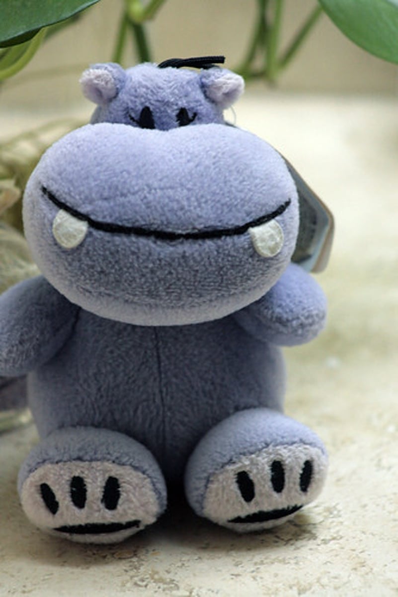 <p>stuffed animal</p>