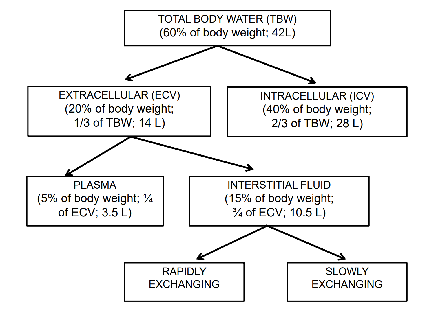 we know that young male that is 75kgs on average has 60% of body water, how many litres of water is it - (extracellular 14L+ intracellular 28L=42