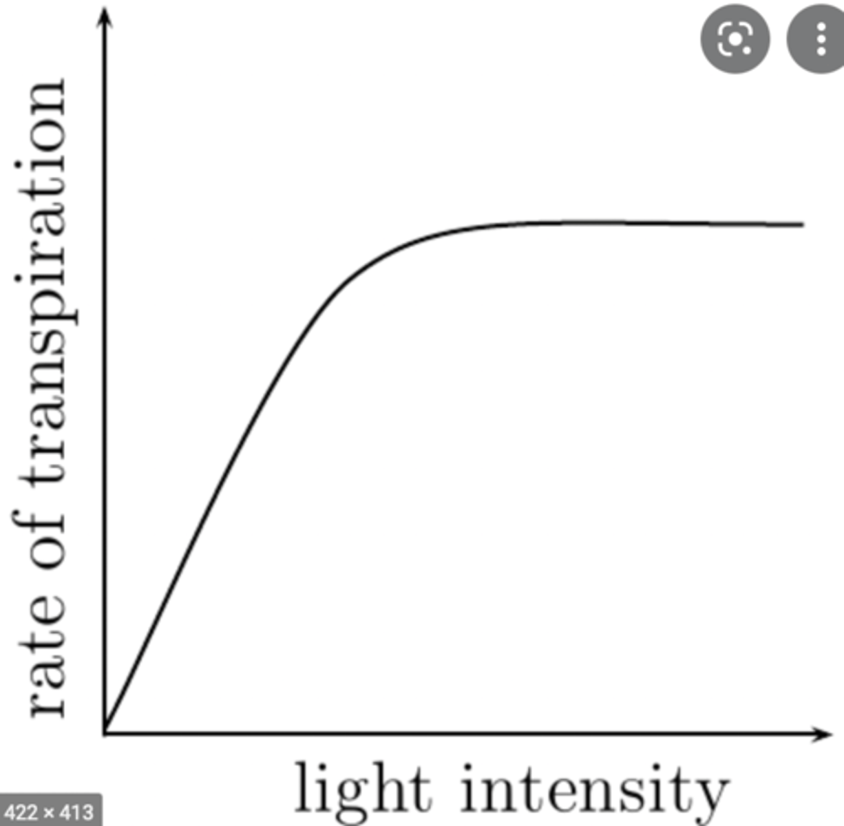 <p>1. More stomata open</p><p>2. Increased rate of transpiration</p>